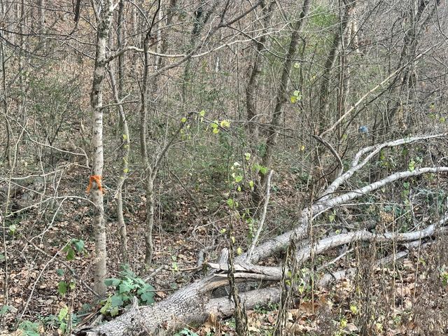 210 Trotter Rd, Waverly, TN 37185