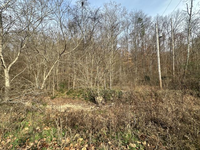 210 Trotter Rd, Waverly, TN 37185