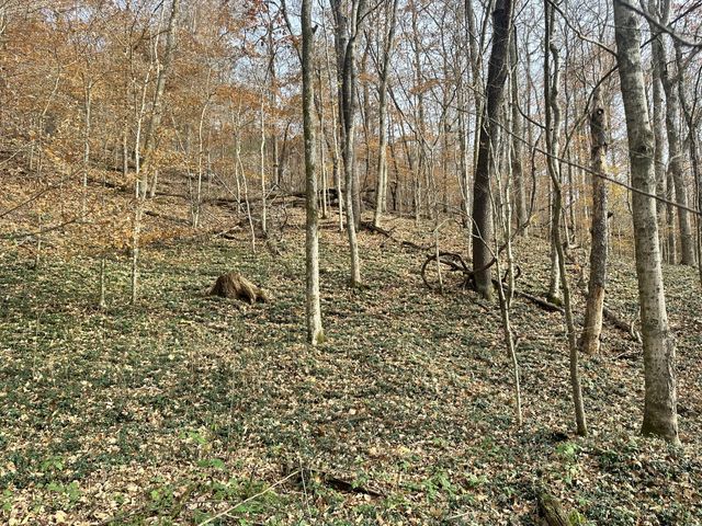 210 Trotter Rd, Waverly, TN 37185