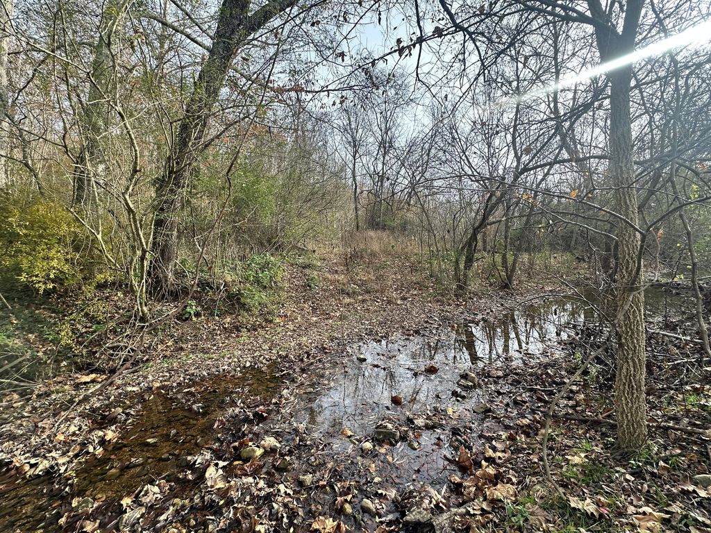 210 Trotter Rd, Waverly, TN 37185