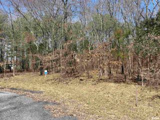 Buckeye Hill Court, Goreville, IL 62939