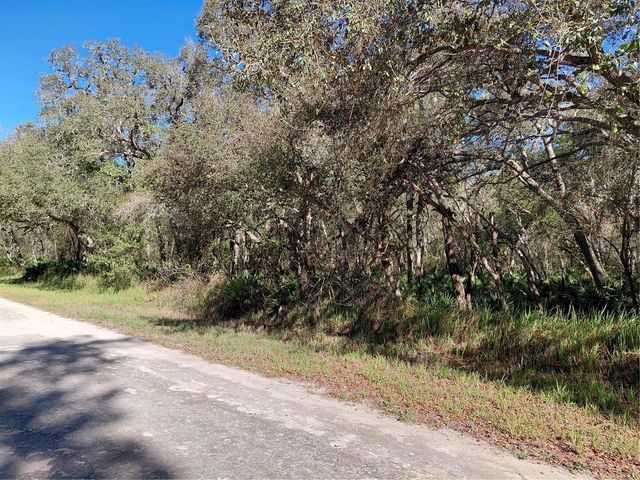 36031 BUTTERNUT DRIVE, Webster, FL 33597