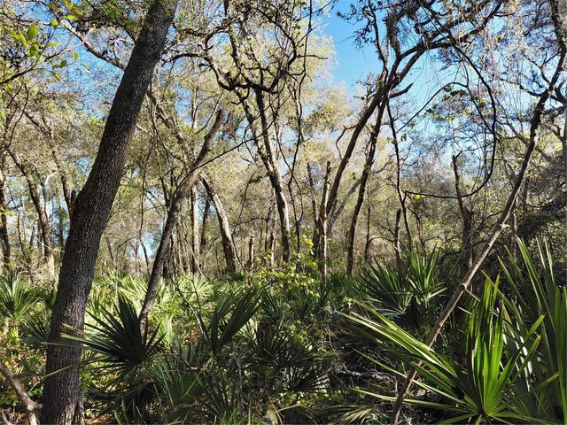 36031 BUTTERNUT DRIVE, Webster, FL 33597