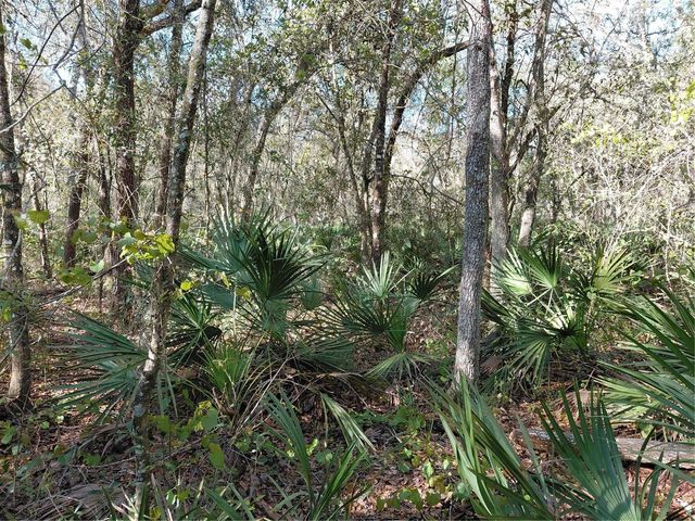 36031 BUTTERNUT DRIVE, Webster, FL 33597