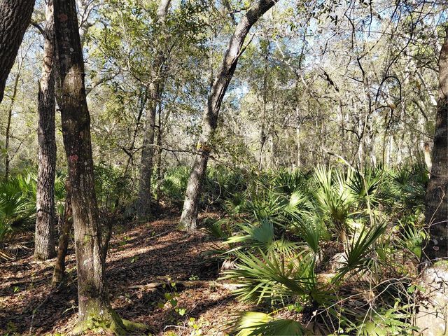 36031 BUTTERNUT DRIVE, Webster, FL 33597