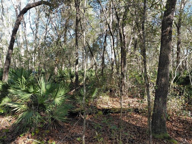 36031 BUTTERNUT DRIVE, Webster, FL 33597