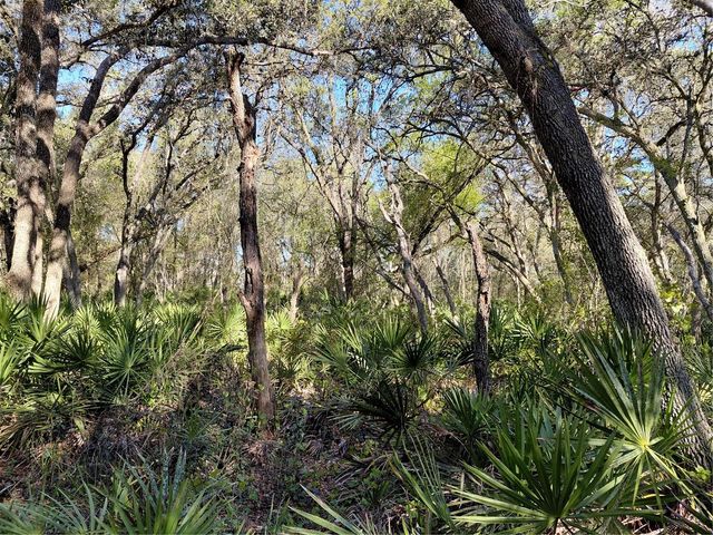 36031 BUTTERNUT DRIVE, Webster, FL 33597