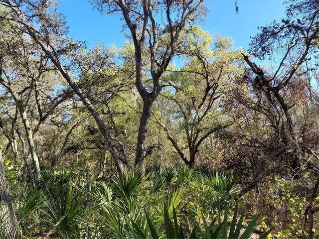 36031 BUTTERNUT DRIVE, Webster, FL 33597