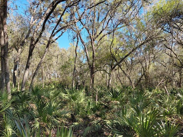 36031 BUTTERNUT DRIVE, Webster, FL 33597