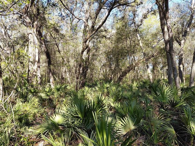 36031 BUTTERNUT DRIVE, Webster, FL 33597