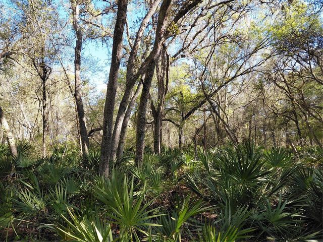 36031 BUTTERNUT DRIVE, Webster, FL 33597