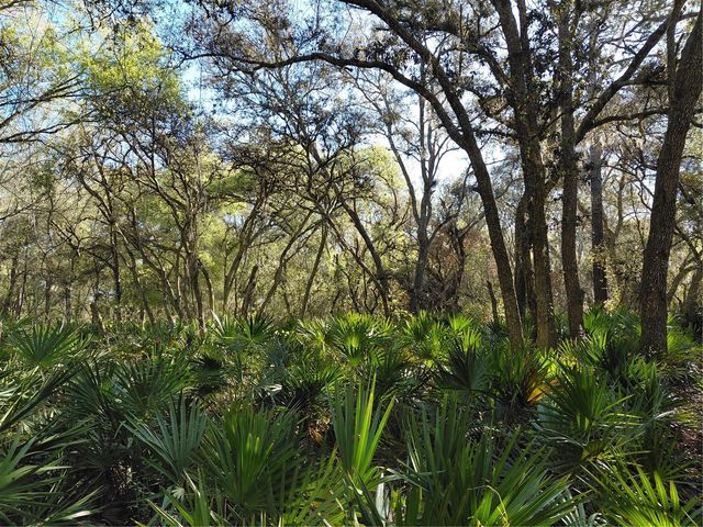 36031 BUTTERNUT DRIVE, Webster, FL 33597