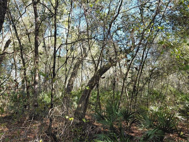 36031 BUTTERNUT DRIVE, Webster, FL 33597