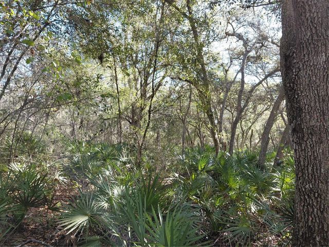 36031 BUTTERNUT DRIVE, Webster, FL 33597