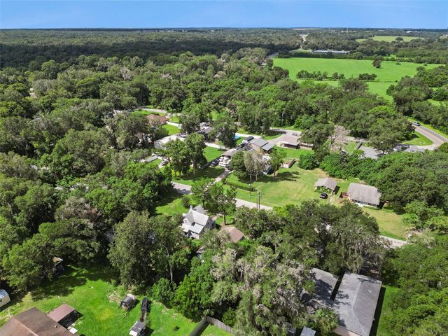 31434 SUMMIT STREET, Sorrento, FL 32776