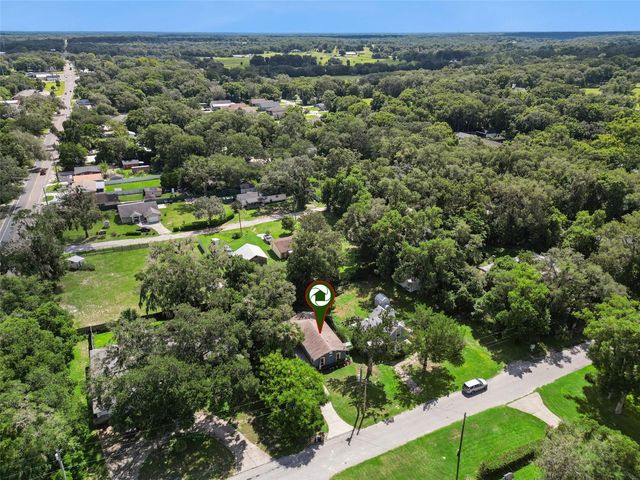 31434 SUMMIT STREET, Sorrento, FL 32776