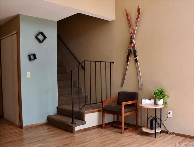 115 Straight Creek Drive, Dillon, CO 80435