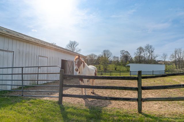 317 N Main St, Cornersville, TN 37047