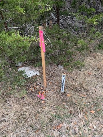 1071 Hillside Oaks, Bulverde, TX 78163