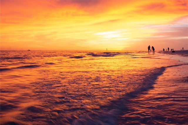 2208 BAHIA VISTA STREET F1, Sarasota, FL 34239