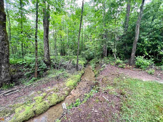 186 Holly Lane, Cleveland, GA 30528