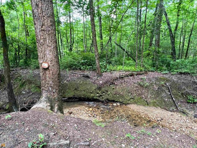 186 Holly Lane, Cleveland, GA 30528