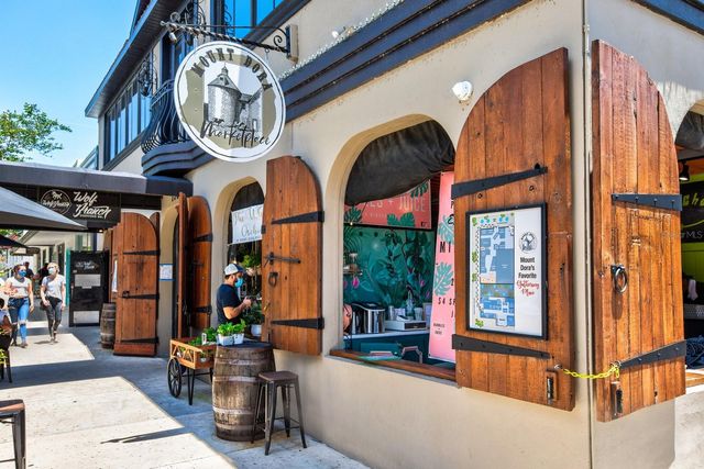 100 S TREMAIN STREET F1, Mount Dora, FL 32757