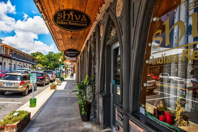 100 S TREMAIN STREET F1, Mount Dora, FL 32757