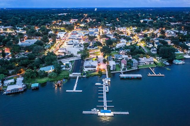 100 S TREMAIN STREET F1, Mount Dora, FL 32757