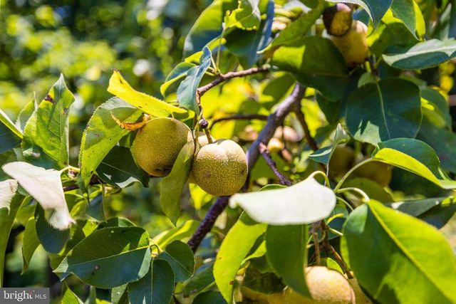 548 RIVER BEND RD, Great Falls, VA 22066