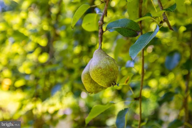 548 RIVER BEND RD, Great Falls, VA 22066