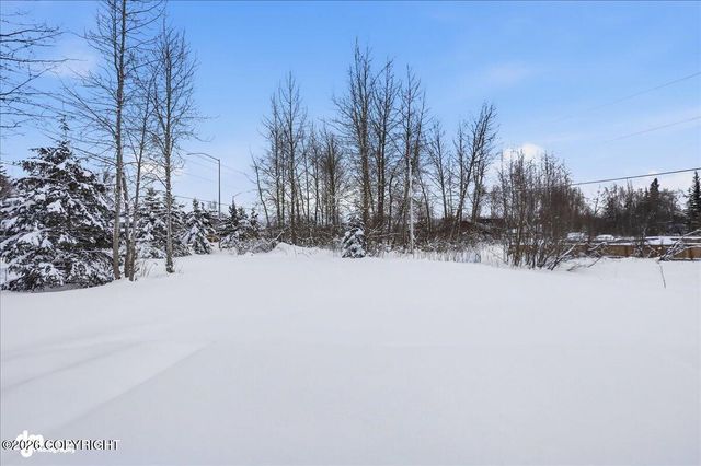 11205 Willene Drive, Anchorage, AK 99516