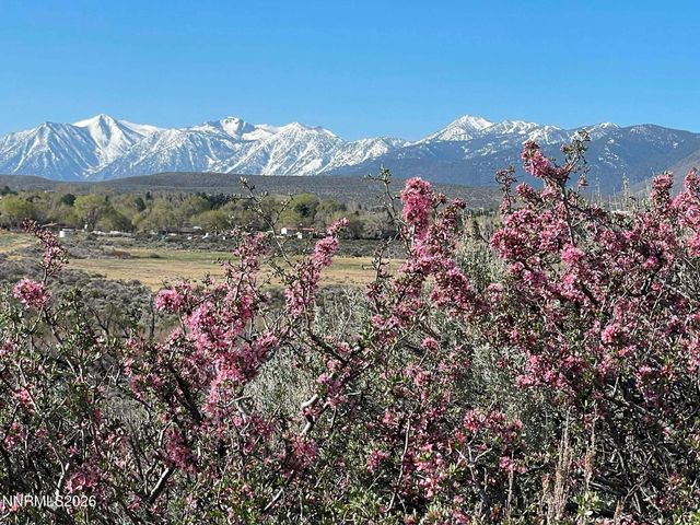 3667 Summer Hill Drive, Carson City, NV 89705