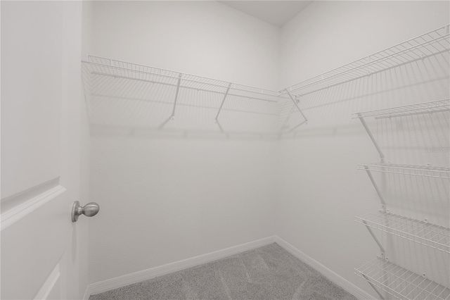 16701 MAUDE DRIVE, Wimauma, FL 33598