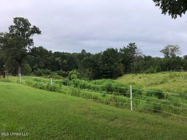 10650 Cr 460, Philadelphia, MS 39350