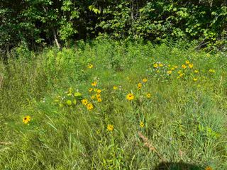 TBD Holman Road, Salisbury, VT 05769