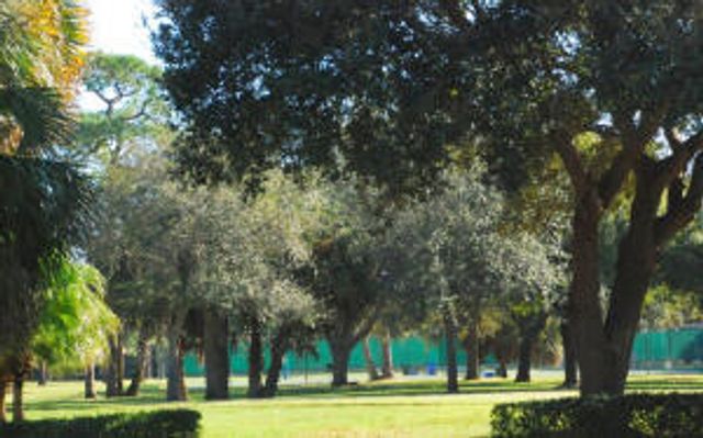 176 E Tall Oaks Circle, Palm Beach Gardens, FL 33410