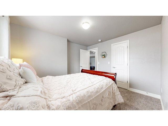 6173 Carmon Ct, Windsor, CO 80550