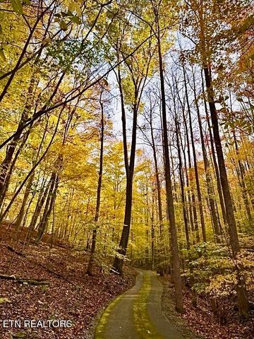 340 Duncan Lane, Andersonville, TN 37705