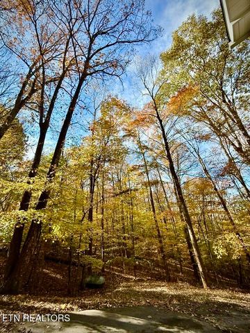 340 Duncan Lane, Andersonville, TN 37705