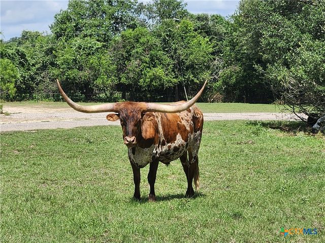 7310 Nolan Bluff Road, Belton, TX 76513
