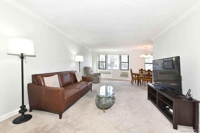 4 Birchwood Court 4J, Mineola, NY 11501