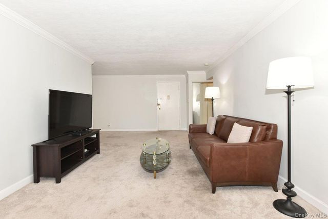 4 Birchwood Court 4J, Mineola, NY 11501