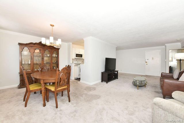 4 Birchwood Court 4J, Mineola, NY 11501