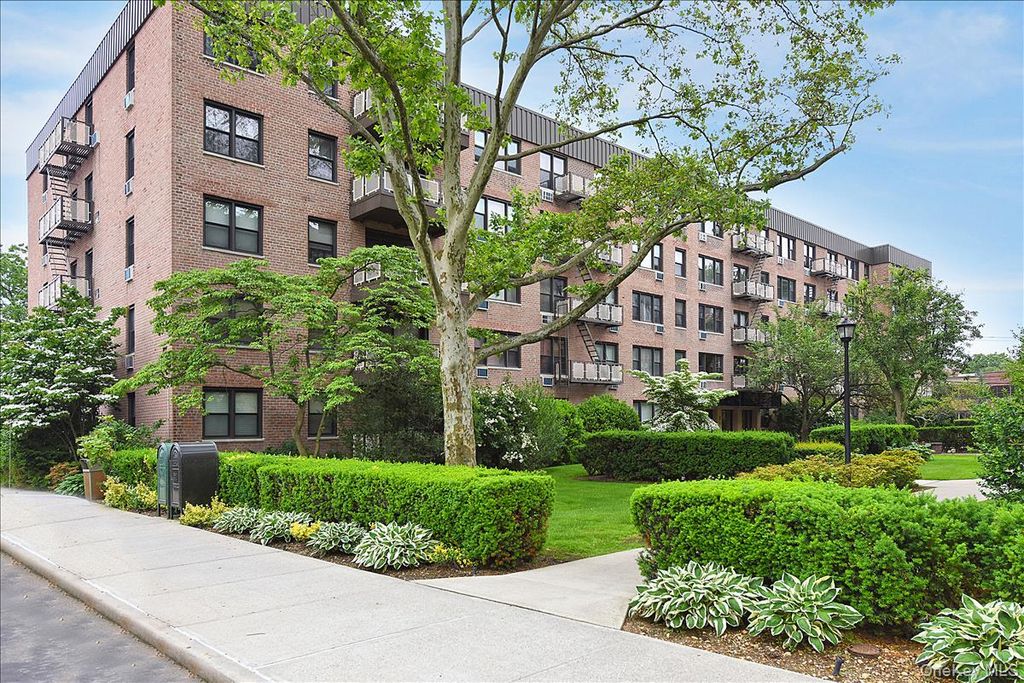 4 Birchwood Court 4J, Mineola, NY 11501