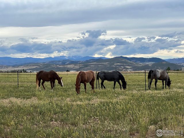 612 W County Road 74, Wellington, CO 80549