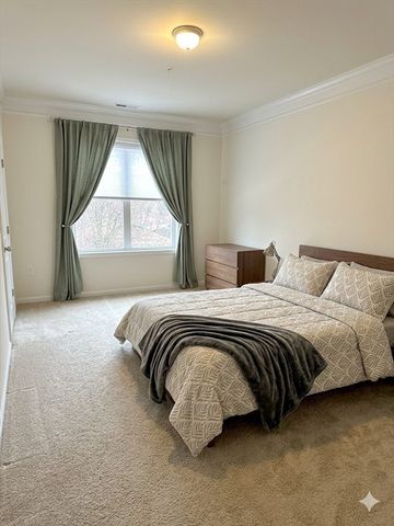 1108 Pennington Dr 1108, Walpole, MA 02081