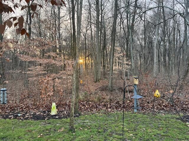 9496 Alnwick Loop, Plain City, OH 43064