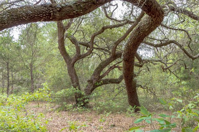 TBD Fm 1094, New Ulm, TX 78950