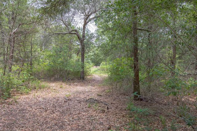 TBD Fm 1094, New Ulm, TX 78950